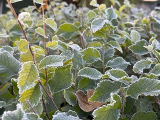 Тепло в Подмосковье обещают к выходным, но есть нюанс: чем расстроили синоптики