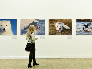 В Лобне откроют фотовыставку «Друг, зверь и человек»