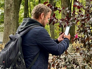 Что за чудо‑дерево?: В Детском парке Наро‑Фоминска расцвели необычные яблони — и это только начало преображения