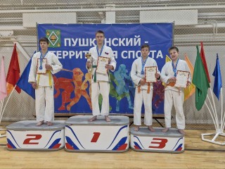 Борцы из Пушкино завоевали 15 медалей на чемпионате по джиу-джитсу