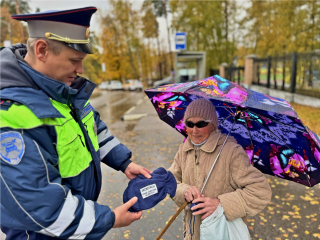 Инспекторы Красногорска подарили светящиеся варежки самым незащищенным пешеходам