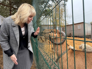 Будущие фермеры осваивают секреты успеха прямо в поле: уникальная практика проходит в Можайске