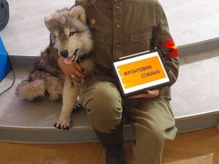 Фильм городских кинологов «Лично рядовому Рексу» получил всероссийское признание