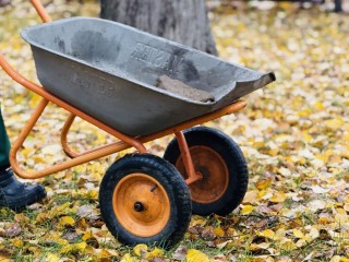 Добавьте в компост это копеечное средство – и даже ветки с ботвой превратятся в перегной