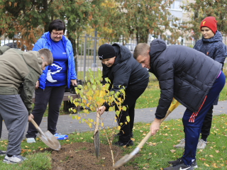Семьи Зарайска посадили ели и березы в парке ко Дню отца