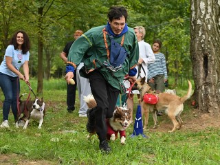 От дрессировки собак до ночного ориентирования: что готовят парки Ступина с 20 по 26 октября