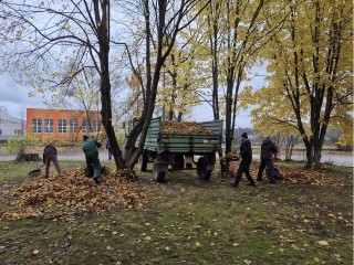 В Орехово-Зуеве коммунальные службы очищают улицы от листвы