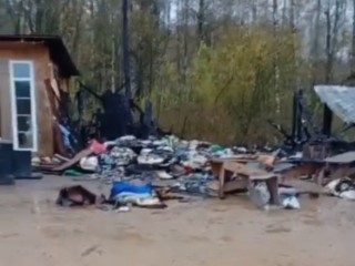 Ружане окажут помощь Можайскому приюту для животных