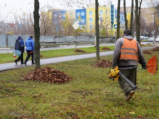 С граблями и воздуходувкой: ступинские дворники ежедневно выходят на уборку листвы с августа до первого снега
