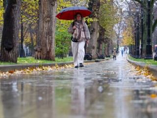 Пора утепляться: чего ждать от погоды в Подмосковье в начале ноября
