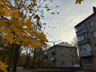 Спорт, кино и выставки: суббота в Солнечногорске пройдет насыщенно