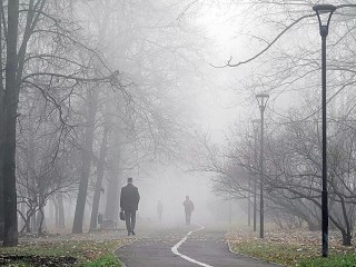 Туманы сохранятся в Подмосковье до конца рабочей недели