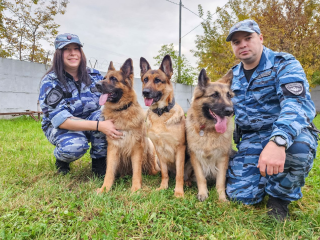 Вместе с четвероногим напарником: как семья кинологов из Подольска нашла свое призвание