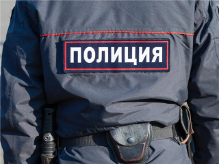 Полиция проверит обстоятельства стрельбы из пневмата по окну пенсионерки