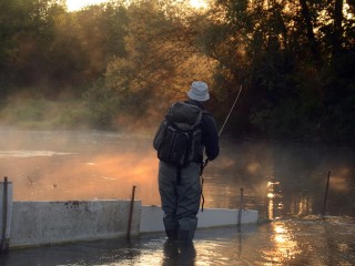 На вертолете за рыбой и портал в другую реальность: самые неожиданные объявления из Дубны