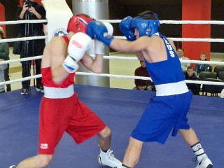 Бойцы MMA из Шатуры завоевали семь золотых медалей на крупном турнире