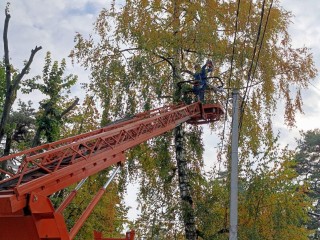Надежное энергоснабжение: как подмосковные энергетики защищают ЛЭП от повреждений