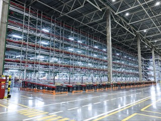 В Домодедове построят логопарк площадью 64 тыс. кв. м