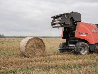 Несмотря на осадки, племзавод «Барыбино» выполнил план по уборке зерновых