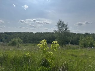 Один из самых привлекательных участков был реализован в Кашире