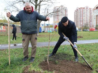 Двенадцать каштанов украсили Центральный парк Победы в преддверии Дня отца