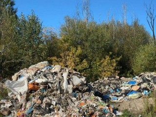 Апелляция не помогла щелковскому предпринимателю избежать возмещения ущерба от свалки