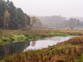 Дожди и ветра придут в Серебряные Пруды 5 октября