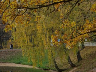 Гулять по паркам, на выставки и в кино зовет афиша Красногорска на 26 октября