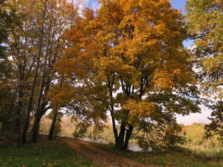 Чего категорически нельзя делать православным 15 октября