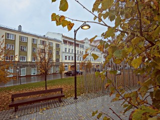 Тепло до +7 и дожди принесет циклон в Подмосковье 31 октября