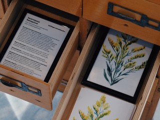 За кулисами научного искусства: художница из Москвы рассказала о работе над проектом с ученым-геоботаником