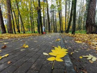 Какую погоду ждать в Подмосковье на «ноябрьские»? Спойлер: такой не было почти 10 лет