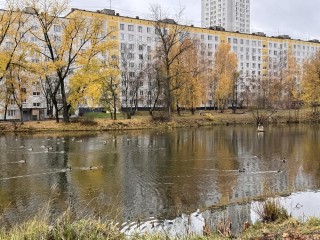 Теперь не по дороге, а по тротуару: в Одинцове проложили безопасный путь к детской поликлинике — итоги благоустройства