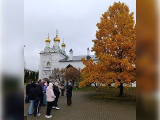 Эксперт Лодыгин раскрыл тайну дуба из Иосифо-Волоцкого монастыря