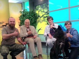 В Кашире спасли жизнь звезды программы «В мире животных» волчицы Марго