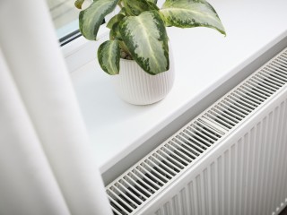 Батарея убивает: семь комнатных растений, которым зимой не место на подоконнике