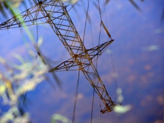 Энергетики Шаховской проведут работы для улучшения электроснабжения