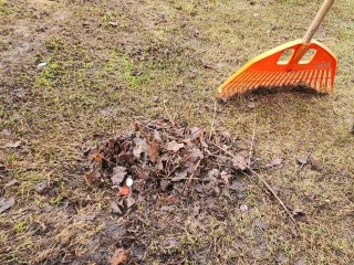 Техника и волонтеры объединились в борьбе с листопадом в Шаховской