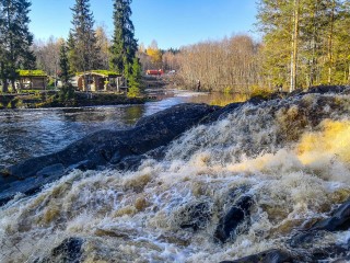 Теперь из Подмосковья в Грузию не доехать: что сделали пограничники