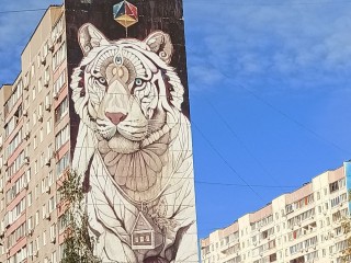 Как электростальскому пенсионеру бесплатно посмотреть муралы Балашихи