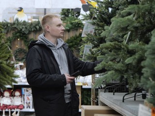 В Подмосковье начали готовиться к Новому году в октябре: сколько стоит елка
