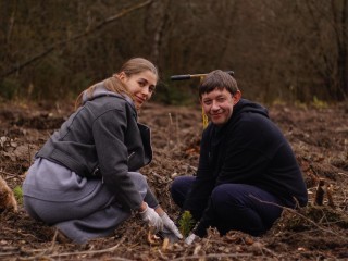 Лесу в Воскресенске дали имена: что теперь растет на месте участка, погубленного короедом