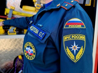 Пожарные оперативно ликвидировали возгорание в поселке Данки