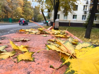 Погода в Раменском 27 октября 2025: дождь и +9°C