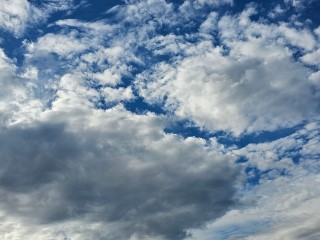 Какая погода ждет жителей Подмосковья 1 ноября