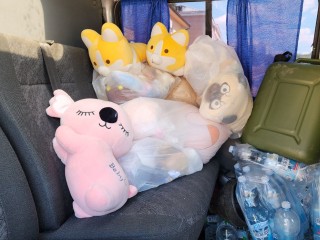 Многодетные семьи из Истры передали вещи для белгородцев