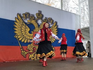 Какой будет погода в День народного единства: синоптики дали Подмосковью точный прогноз