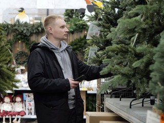 В Подмосковье начали готовиться к Новому году в октябре: сколько стоит елка