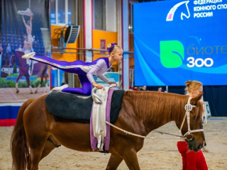 Медали и разряды завоевали спортсмены из Котельников на турнире по вольтижировке в Тверской области