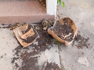 В Долгопрудном школьницы бросали стул и цветочные горшки из окна восьмого этажа